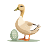Spring duck with Easter egg