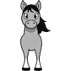 Gray bangs with black mane