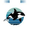 Funny Orca
