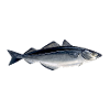 Dis-moi
