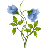 Fleur