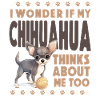 Chihuahua Chihuahueño I Wonder If