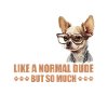 Chihuahua Chihuahueño Chihuahua