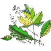 feuilles