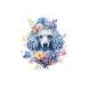 Pyjama Chien Caniche Humour