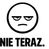 Not Now - minimalist signature