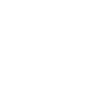 Audiophile Definition Music Lover