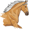 La tête d'un cheval palomino