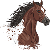 La tête d'un Cheval Appaloosa