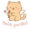 You're Purrfect – Cupidon Cat