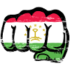 Tadschikistan_Flagge_Faust_used