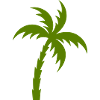 Palm Tree Silhouette Tropical Style