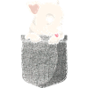 Chihuahua Chihuahueño Pocket
