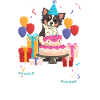 Chihuahua Chihuahueño Birthday