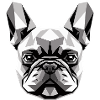 Fransk bulldoghund Motiv Grand Danois Frenchie