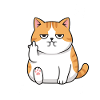 Grumpy Attitude Cat Antistupid
