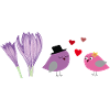 birds in love