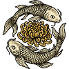 Koi Chrysanthemum Cycle