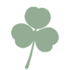 Trèfle vert clair