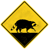 Raccoon Yellow Traffic Sign