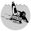 Typ-o-Cat #16 CATamaran