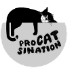 Typ-o-Cat #87 ProCATsination