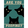 Are You Pooping? Cats black