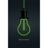 Bright Ideas – Neon Light Bulb Design