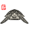 Turtle Asian