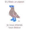 Provokative Pigeon Boots Hellblauer Humor