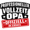 Professional Full-Time Official