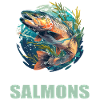 Salmon Salmon