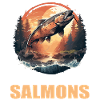 Salmon Salmon