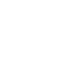 ring-tailed lemur