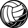 Ballon de volley-ball