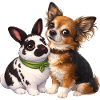 Dwarf Rabbits Paulinchen and Chihuahua Dexter