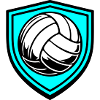 Blason du ballon de volley-ball