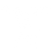 Haltérophiles, fitness, musculation, culturismes