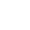 Party