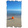 Orange strandbold ved havet