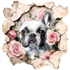 Bouledogue français