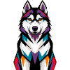 Bunter Husky-Hund