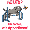 Funny Agility Dog Retrieving Error