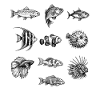 Sea Silhouettes: Fish Silhouettes