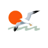 Mundaka Spain