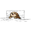 Sleeping Sloth – Cozy Chill Motif