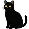 black cat cat black