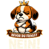 Before you ask No Beagle