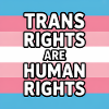 Trans-Rechte sind Menschenrechte – Pride Tee