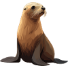 Seelöwen Seelöwe